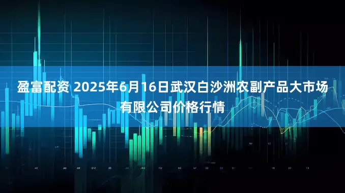 盈富配资 2025年6月16日武汉白沙洲农副产品大市场有限公司价格行情