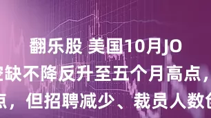 翻乐股 美国10月JOLTS职位空缺不降反升至五个月高点，但招聘减少、裁员人数创两年多新高