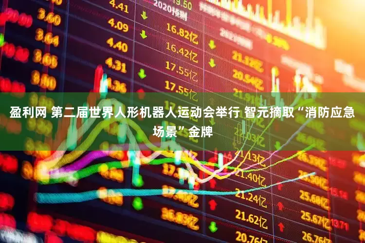 盈利网 第二届世界人形机器人运动会举行 智元摘取“消防应急场景”金牌